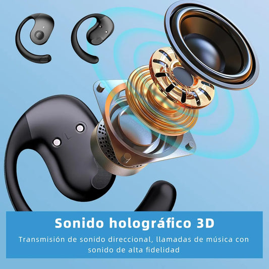 Audífono Traductor Profesional